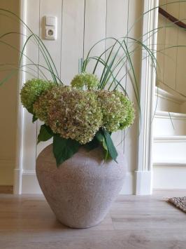 Landelijke vaas , kruik