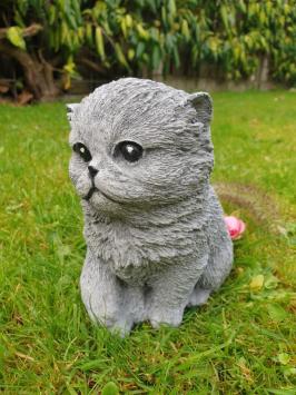 Poes met bal ,  betonnen beeld