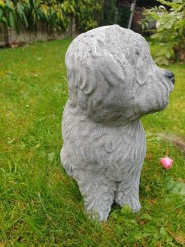 Hundegartenstatue aus Beton, Schapendoes