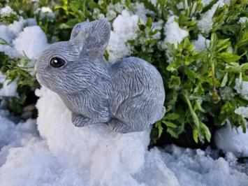 Kaninchen, Bild des niedlichen kleinen Häschens