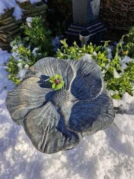 Vogelfutterhaus in Blütenform.