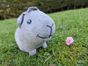 Blije cavia van beton