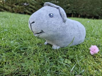 Blije cavia van beton