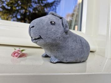 Blije cavia van beton