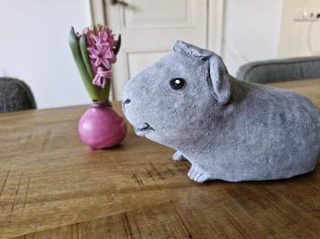 Blije cavia van beton