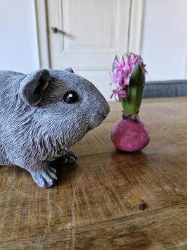 Meerschweinchen-Statue für den Innen- und Außenbereich