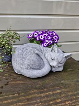grafbeeld poes , kat , tuinbeeld , beton