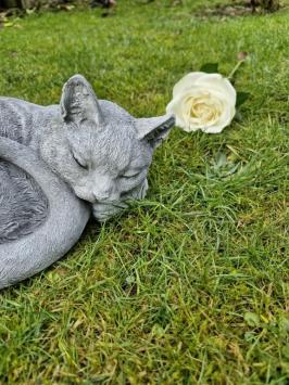 grafbeeld poes , kat , tuinbeeld , beton