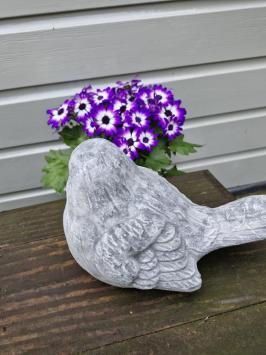 Gartenstatue eines Spatzen, Beton