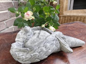 Grafdecoratie voor een hond , beton