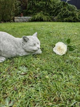 Gartenstatue einer Katze, Gänseblümchen