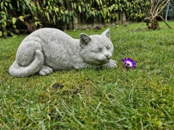 Gartenstatue einer Katze, Gänseblümchen