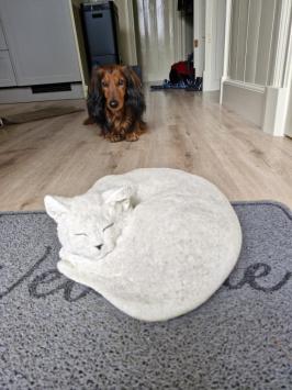 Zusammengekauerte, lebensecht wirkende Katze, Beton