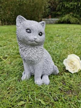 süßes Bild einer Katze, Beton