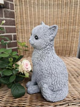 süßes Bild einer Katze, Beton