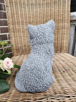 süßes Bild einer Katze, Beton