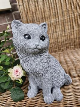süßes Bild einer Katze, Beton