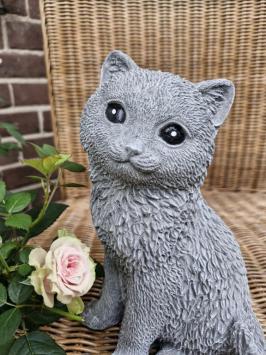 süßes Bild einer Katze, Beton