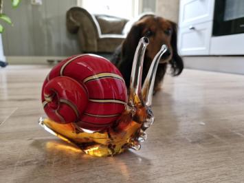 Slak van glas , beeld van een glazen slak