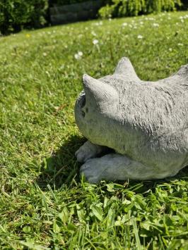 Tuinbeeld poes , daisy