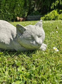 Tuinbeeld poes , daisy