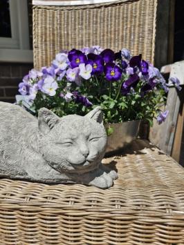 Tuinbeeld poes , daisy