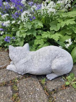 Tuinbeeld poes , daisy