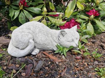 Tuinbeeld poes , daisy