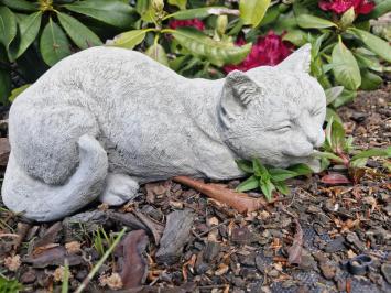 Tuinbeeld poes , daisy