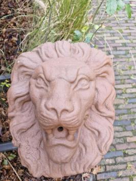 Fontein , waterspuwer , leeuw