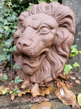 Fontein , waterspuwer , leeuw