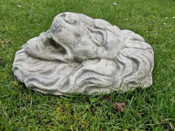 waterspuwer , grote leeuwenkop 