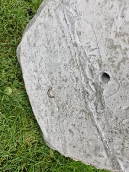 waterspuwer , grote leeuwenkop 