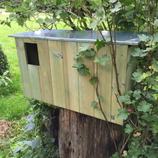 Prachtige nestkast voor vogels en eekhoorns