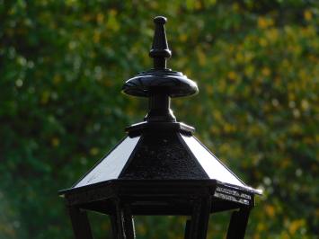 Klassieke Staande Buitenlamp met Franse Lelie - 102 cm - Zwart - Alu