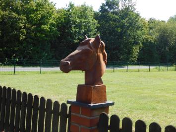 Prachtig fors paardenhoofd gietijzer, onbehandeld, fraai!!