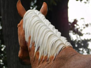 Statue Pferd Blond – 110 cm – Polystone