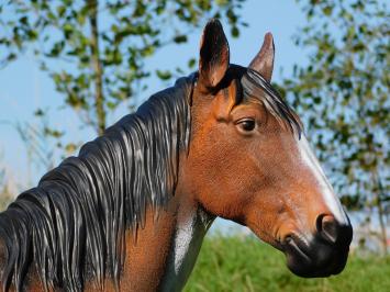 Paardenbeeld in Kleur - 110 cm - Polystone