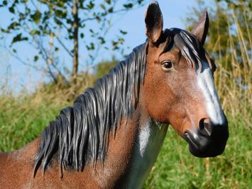 Paardenbeeld in Kleur - 110 cm - Polystone