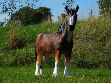 Paardenbeeld in Kleur - 110 cm - Polystone