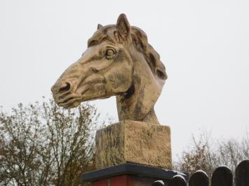 Unikat: XL Polystone Pferdekopf - goldfarben 