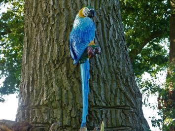 Blauer Papagei XL - Gusseisen - Bunte Wanddekoration
