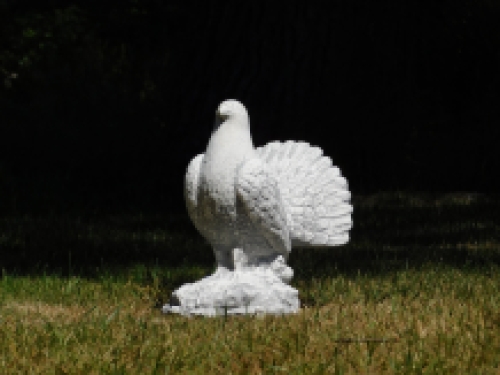 Statue einer Pfautaube - massiver Stein