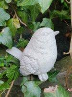 Lief tuinbeeldje van een mus , vogel