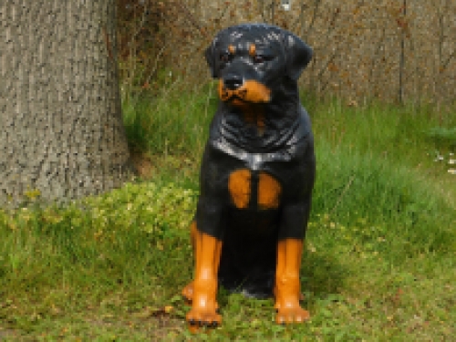 Prachtig polystonen beeld van een rottweiler.