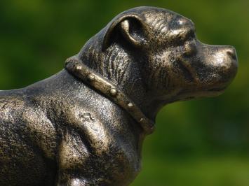 Beeld Pitbull - gietijzer - brons look - honden sculptuur