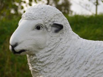 Beeld Schaap - 45 x 55 cm - Polystone