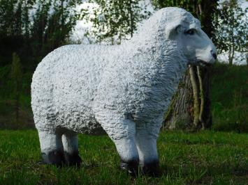 Beeld Schaap - 45 x 55 cm - Polystone
