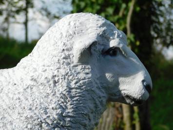 Beeld Schaap - 45 x 55 cm - Polystone