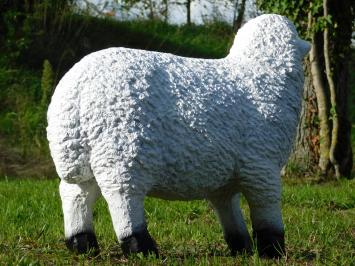 Beeld Schaap - 45 x 55 cm - Polystone